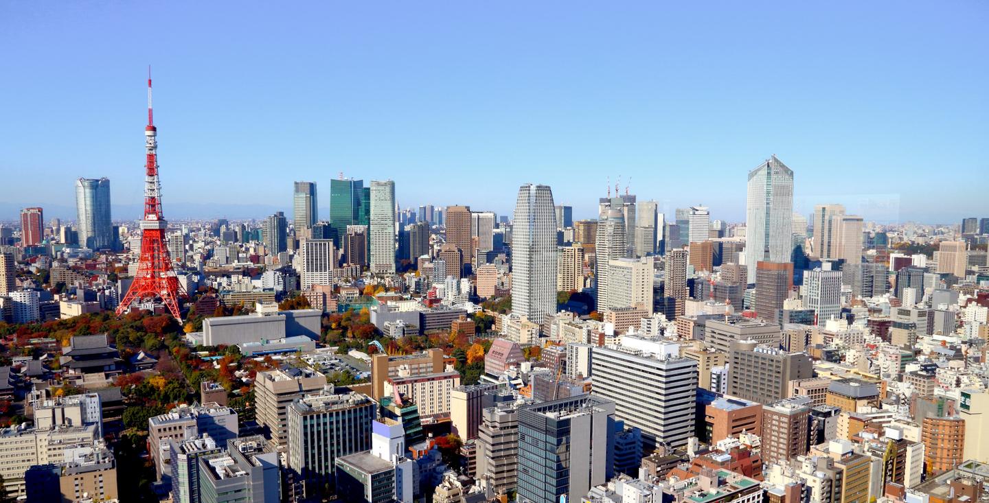 japan-tokio-panorama-g-2116809482.jpg