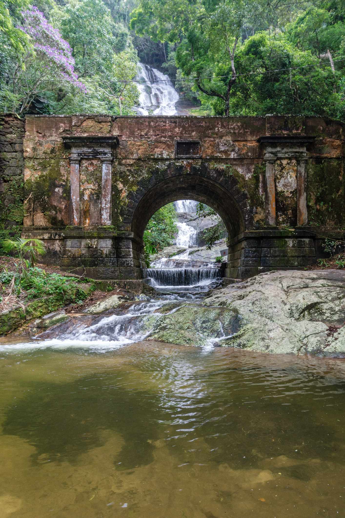 blt3a9ec2ee62dfd990-brasilien-rio-de-janeiro-bruecke-im-regenwald-g-1214522590.jpg Brücke im Regenwald: die Natur Rio de Janeiros