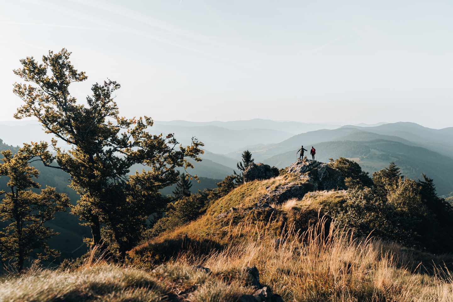 Wandern im Schwarzwald: das richtige Hotel buchen bei DERTOUR