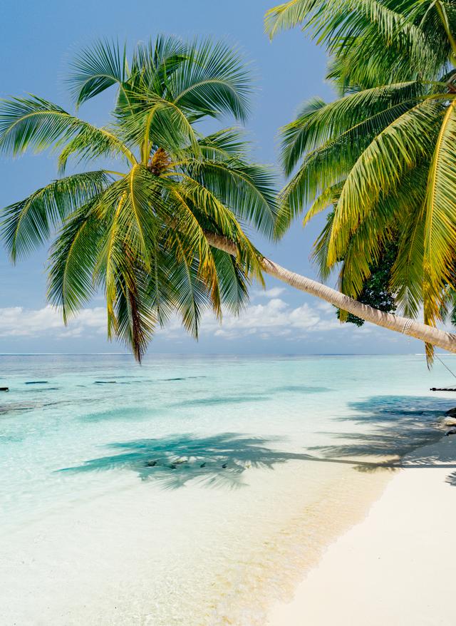 Reiseziele im Februar