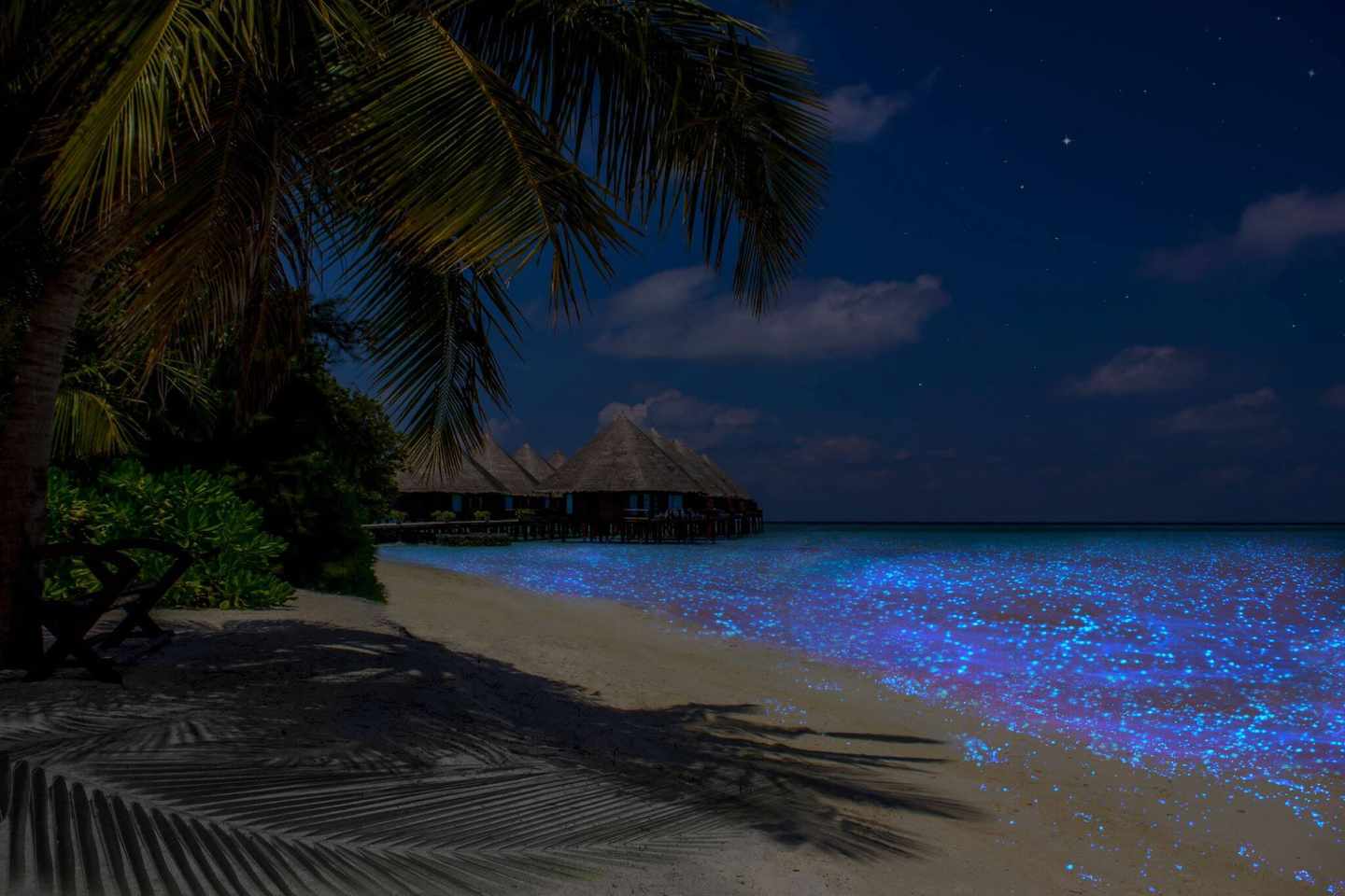 malediven-sea-of-stars-g540500648.jpg