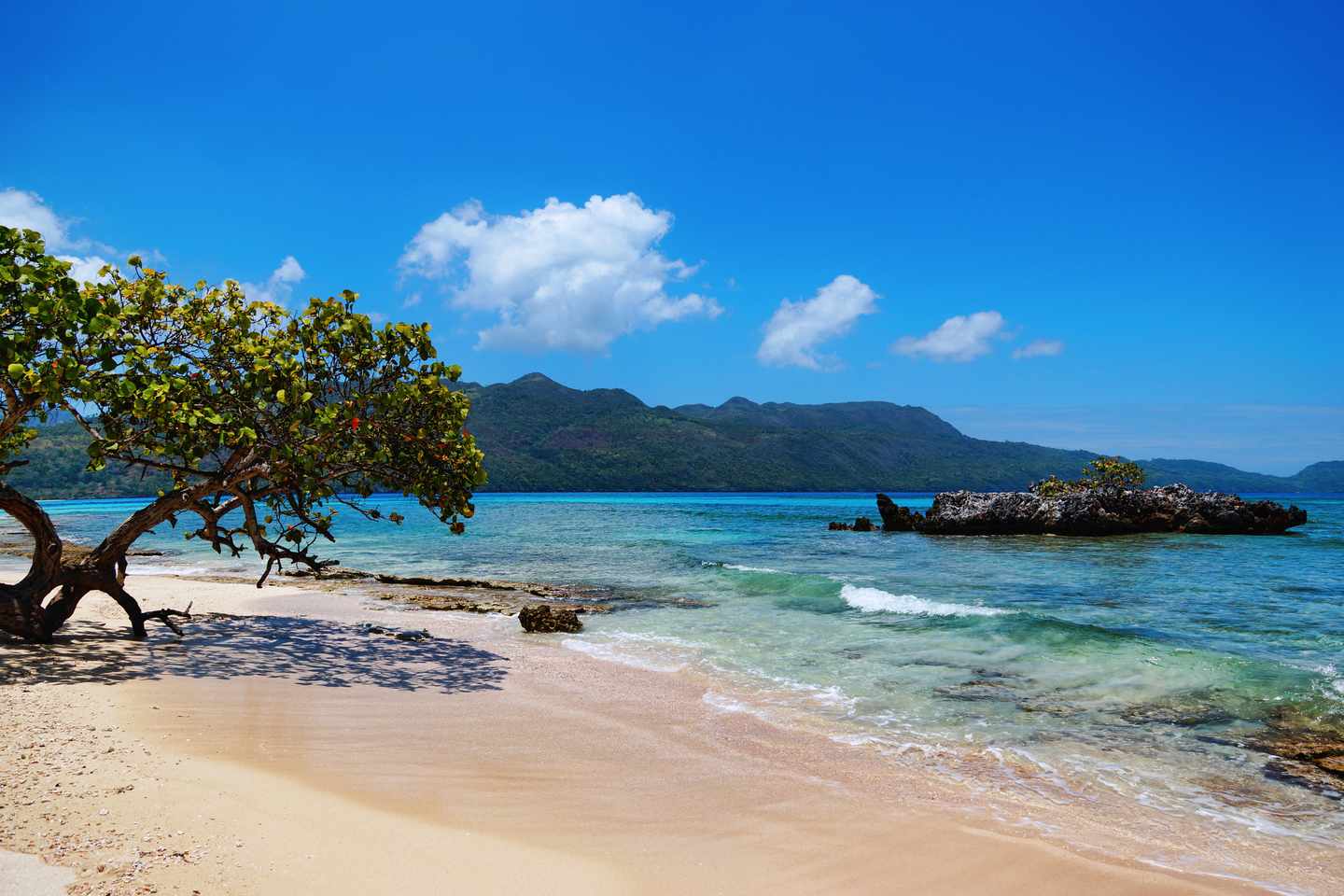 dom-rep-samana-playa-rincon-t-501864761.jpg