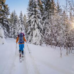 Skihotels im Harz
