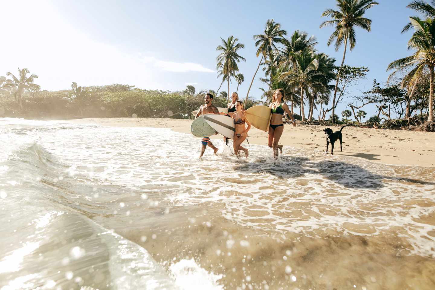 karibik-dominikanische-republik-surfer-rennen-ins-meer-g-954994178.jpg