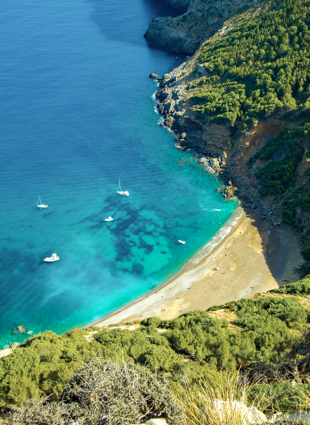 Angebote entdecken Familienurlaub Spanien - Bucht Coll Baix bei Alcudia