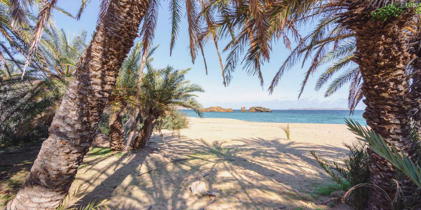 griechenland-kreta-vai-strand-g-113006327548x2048.jpg