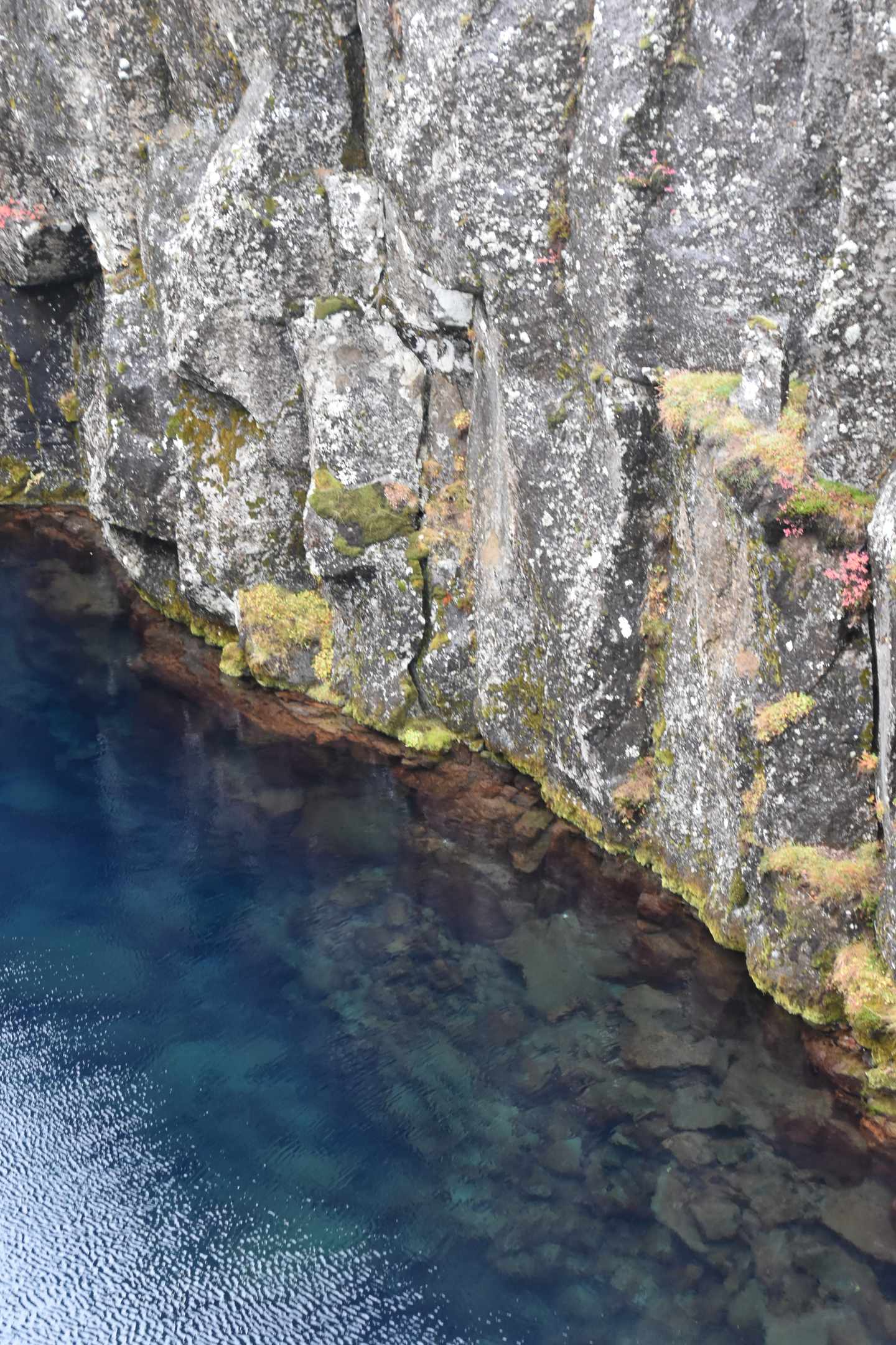 bltef16b6cd0a71cd16-island-almannagja-schlucht-wasser-nahaufnahme-i-lena-herrmann.JPG Island Almannagja Schlucht Nahaufnahme