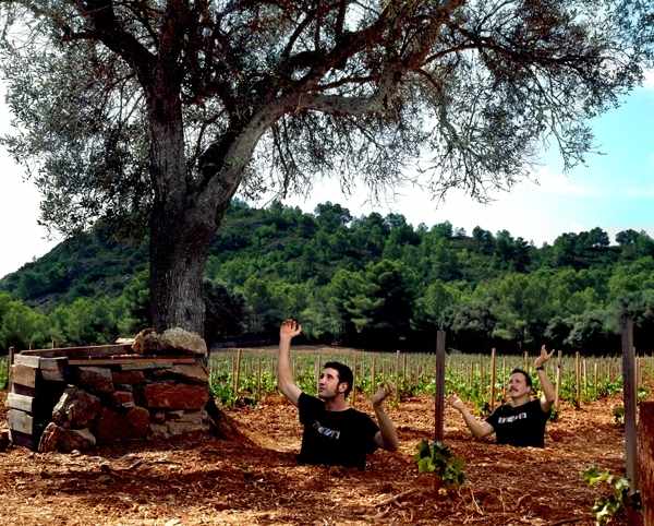 mallorca-weingut-4kilos-grimalt-caballero.jpg