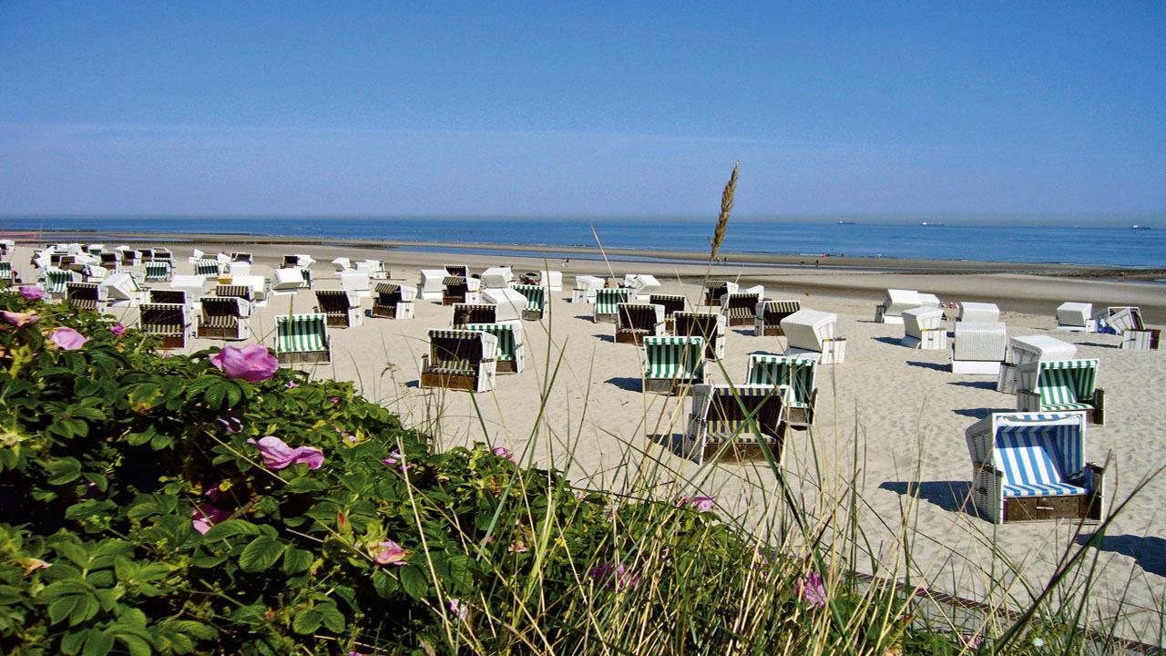 wangerooge-nordsee-strand-p-W38723.jpg