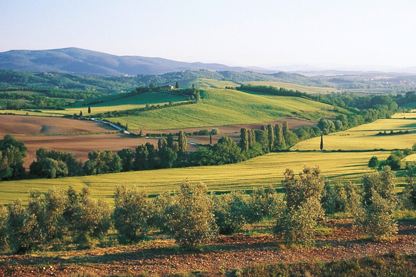 italien-umbrien-p-M12171.jpg