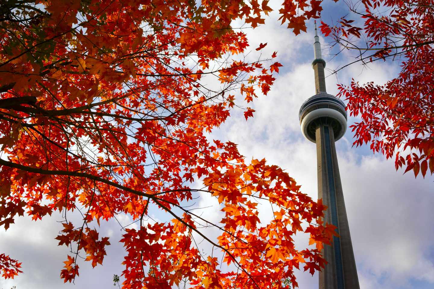 kanada-toronto-cn-tower-t-507717310.jpg