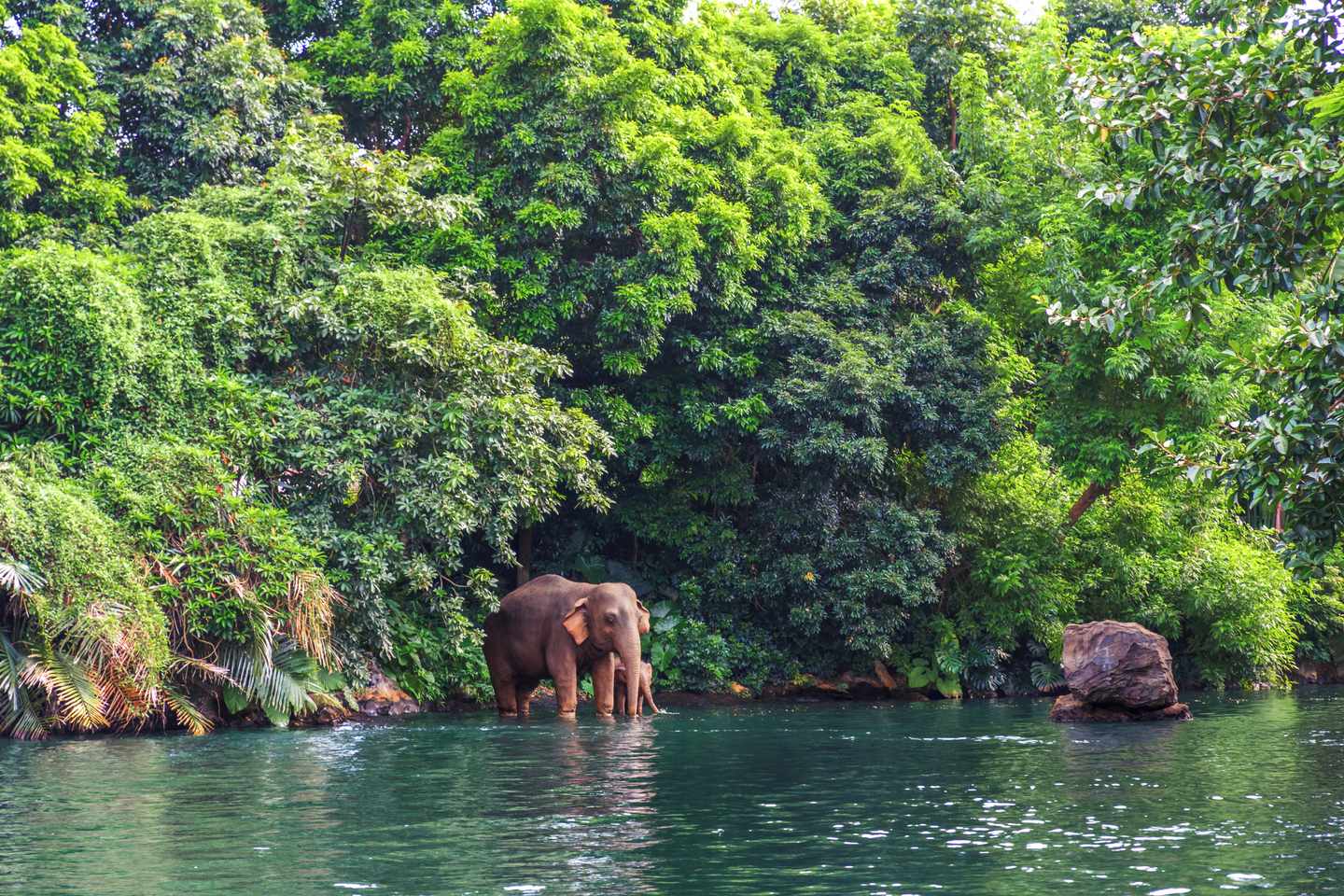thailand-elefanten-am-fluss-g-586166192.jpg