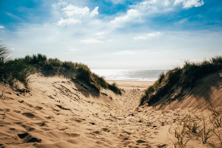 niederlande-zeeland-sandstrand-g-649911730.jpg