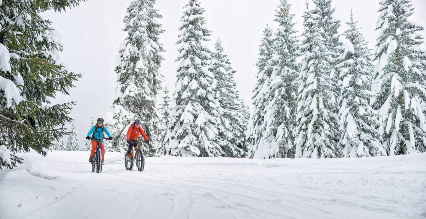 fatbiking_im_schnee-g-1007763344.jpg