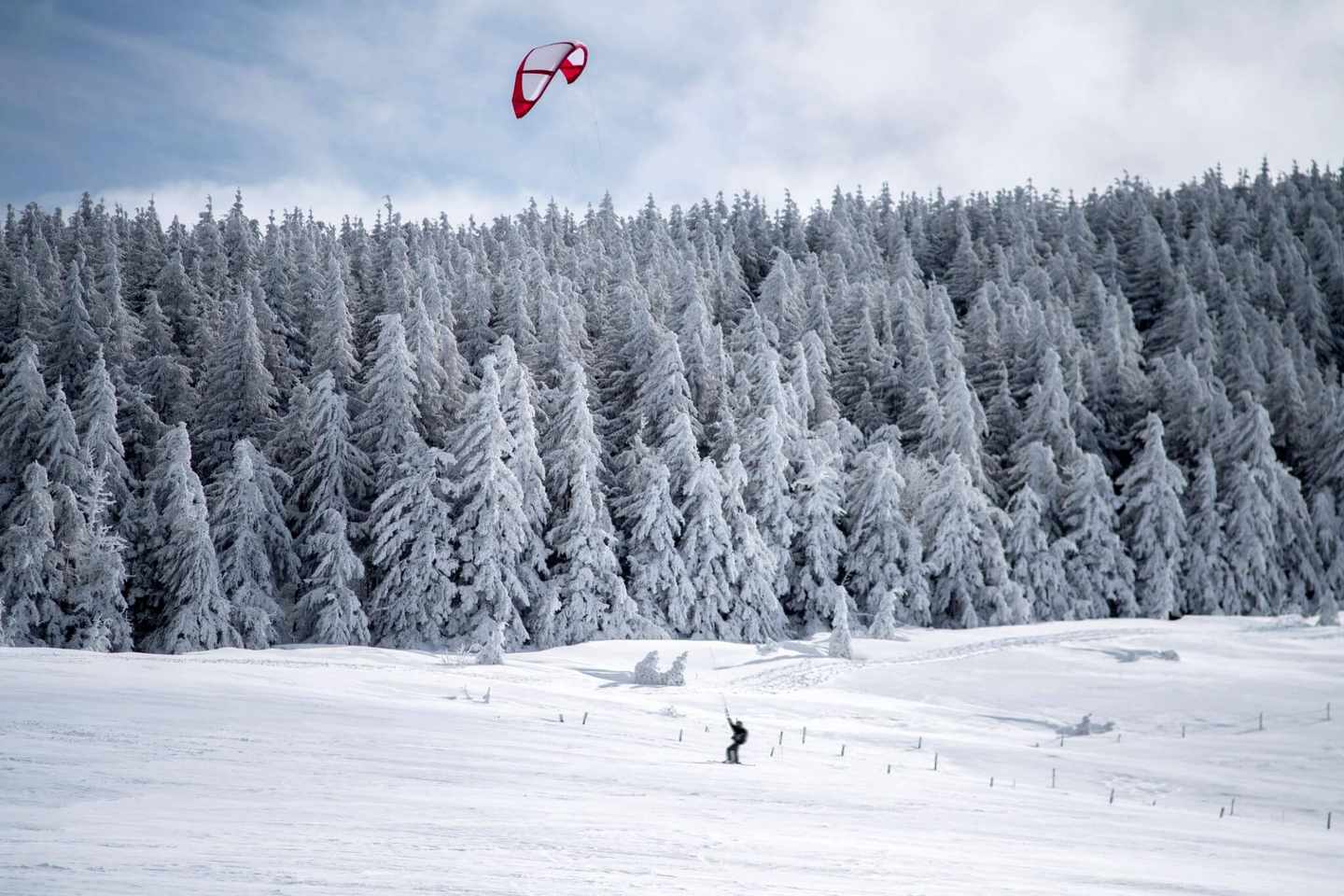 deutschland-snowkiter-g-1298626103.jpg