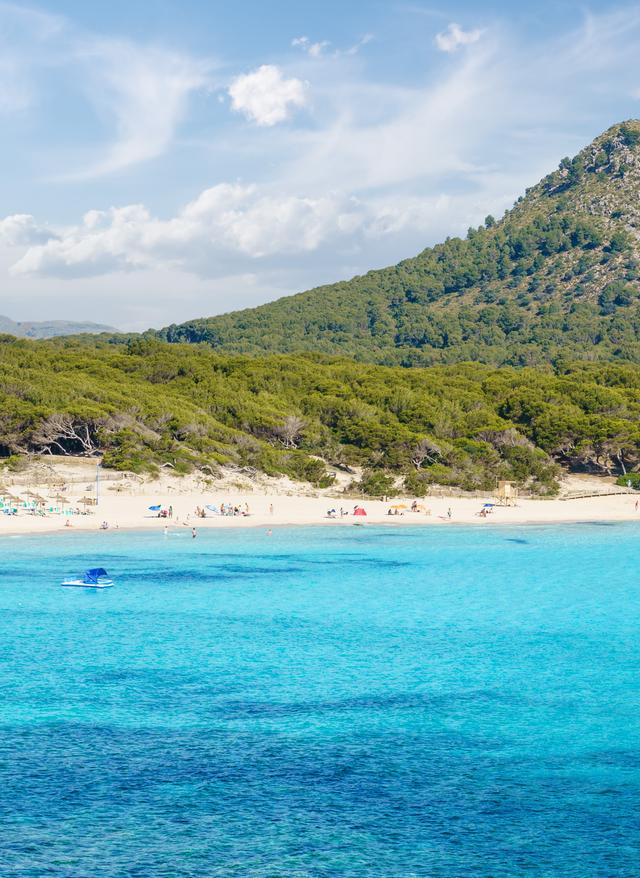 Zu den Angeboten Mallorca Last-Minute