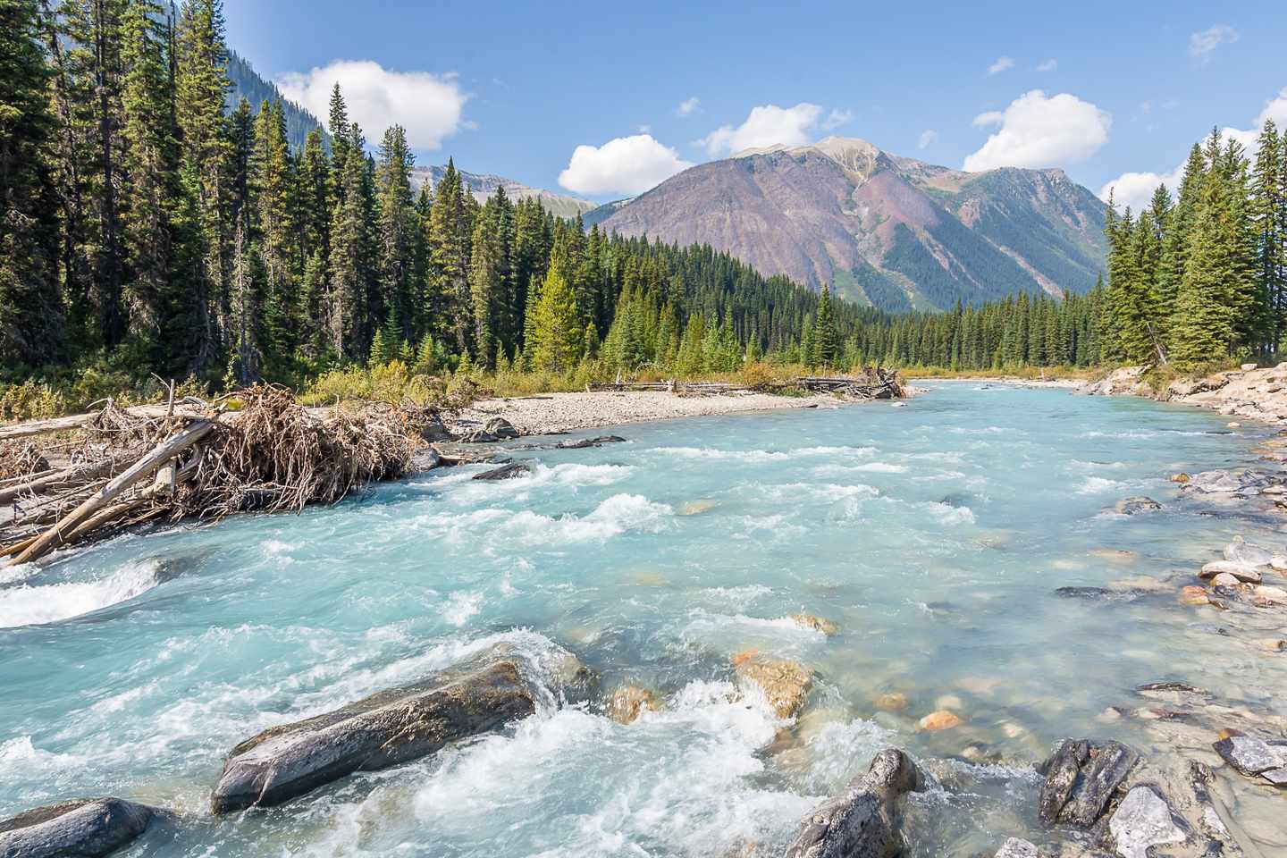 Türkisblauer Fluss zwischen Felsen und Nadelwald vor Bergkulisse im Kootenay National Park in British Columbia