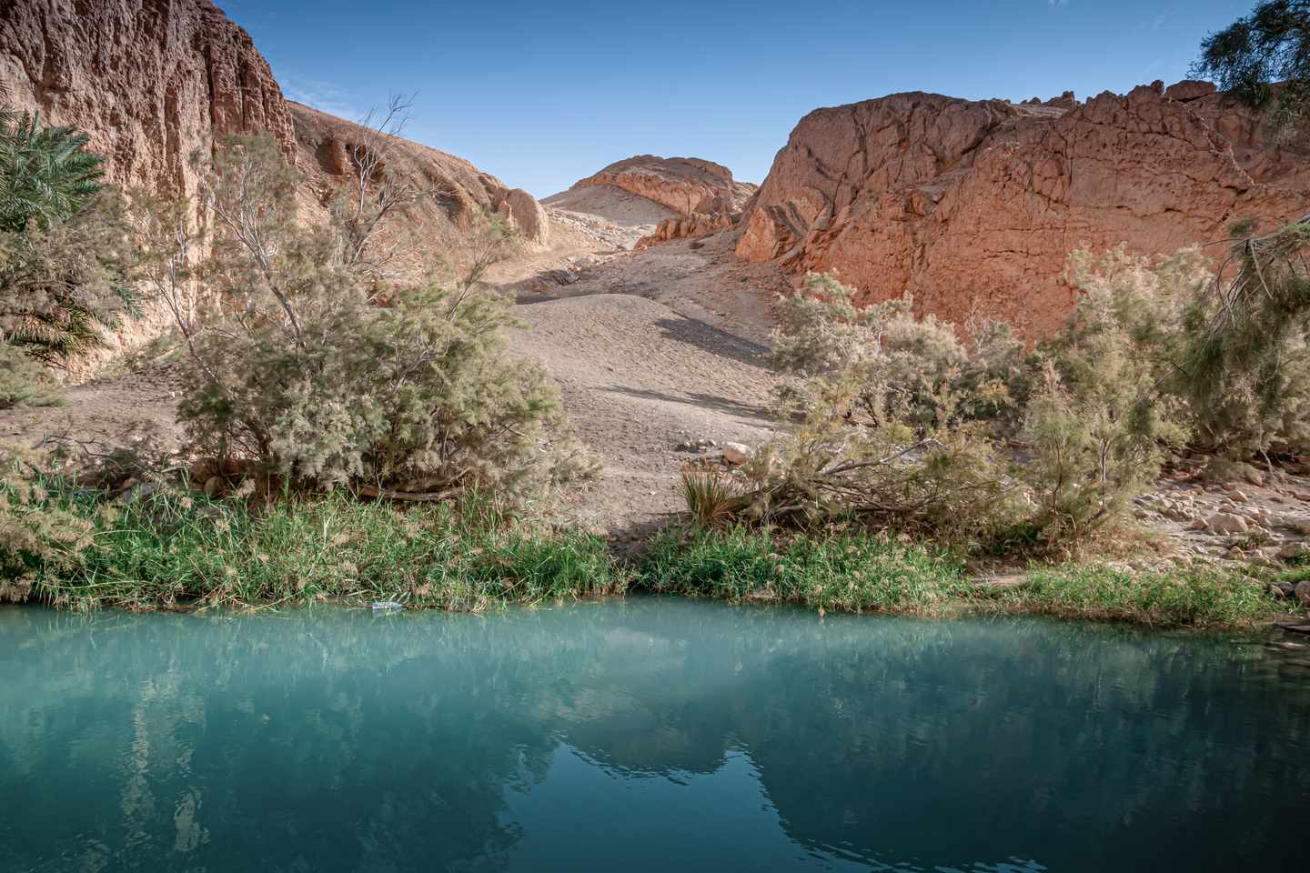 tunesien-wueste-sahara-wuestentour-tozeur-oase-g-1243841649.jpg