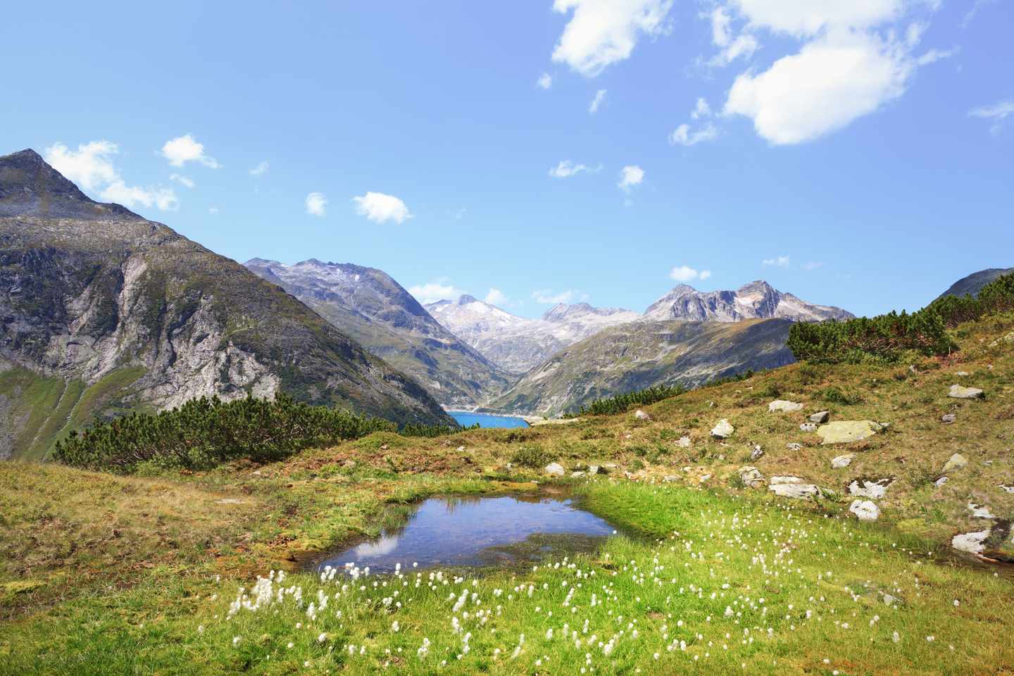 oesterreich-hohe tauern nationalpark-g-185219821.jpg