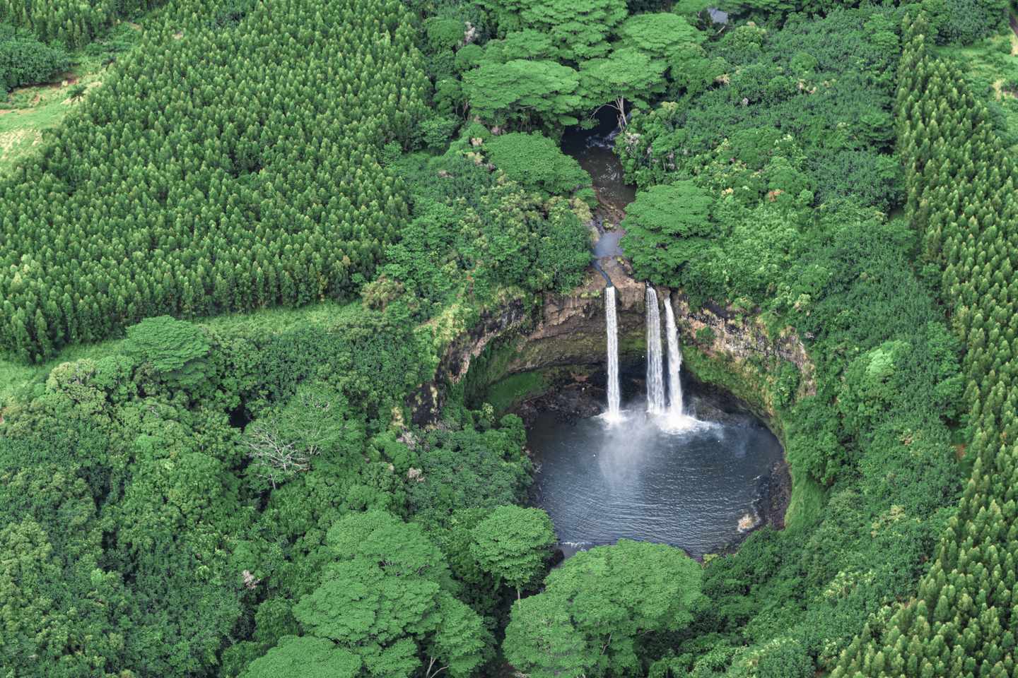 usa-hawaii-kauai-wailua-wasserfaelle-g-1325628154.jpg