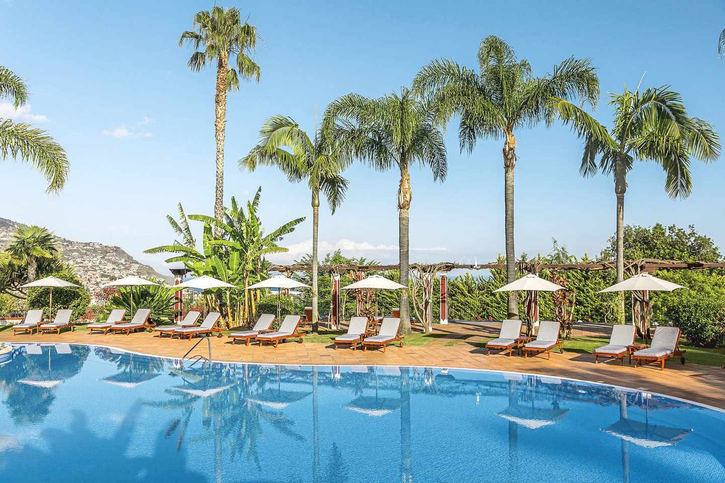 DER1598690.jpg Außenpool mit Sonnenliegen und hohen Palmen im Quinta Jardins do Lago in Funchal auf Madeira