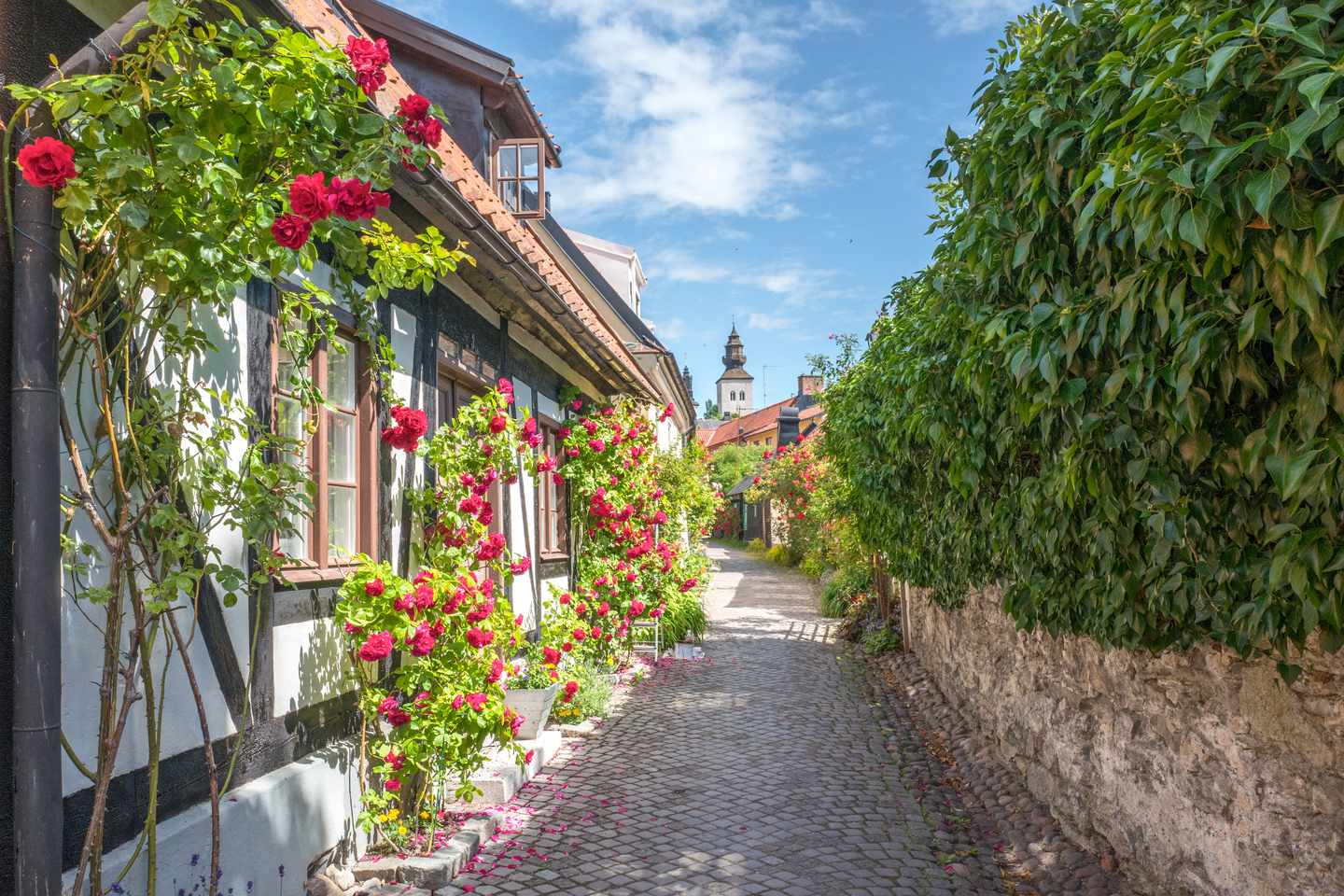 Schweden_ Visby_g-576726146.jpg