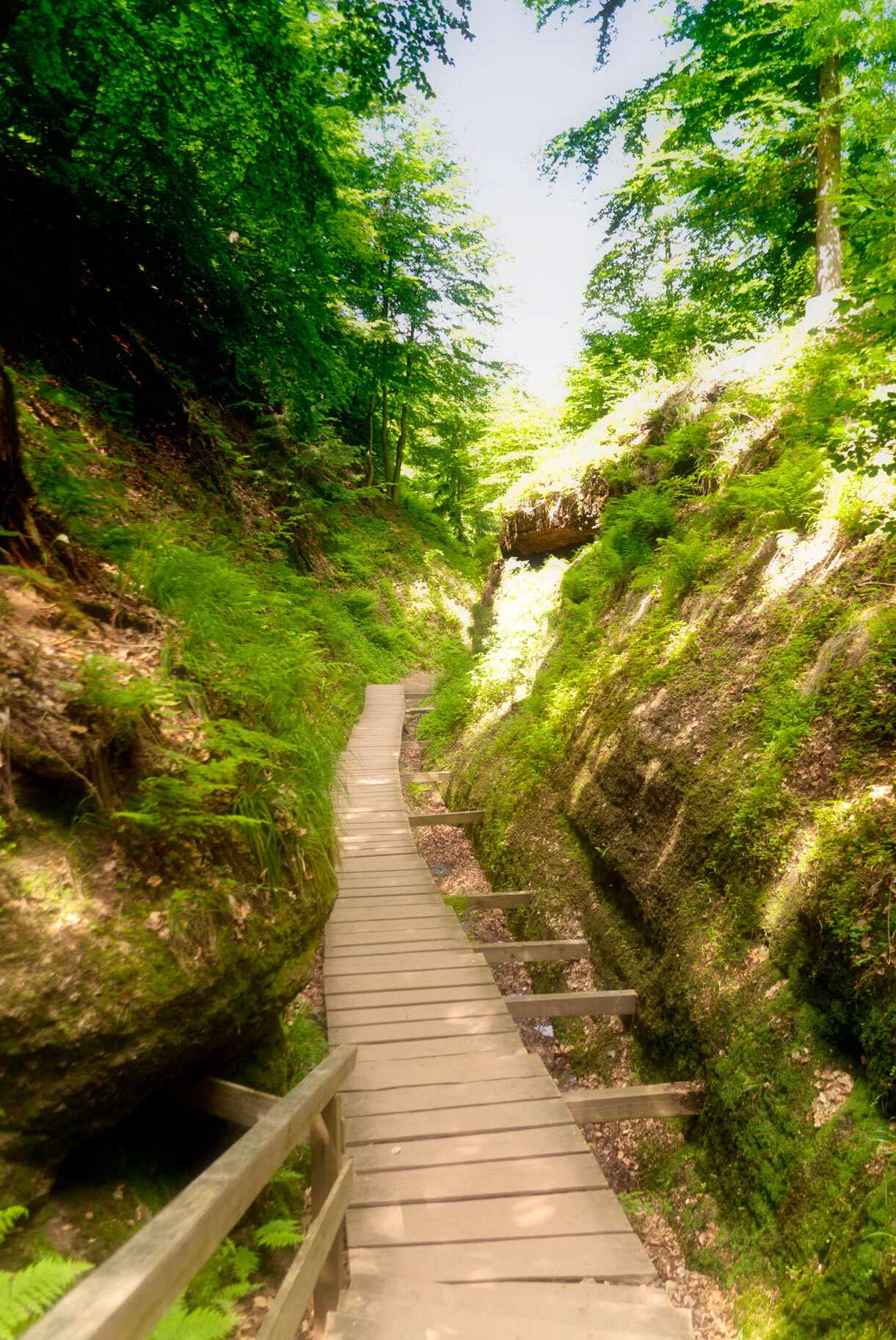 thueringer-wald-schlucht-wanderweg-steg-t-467156188.jpg