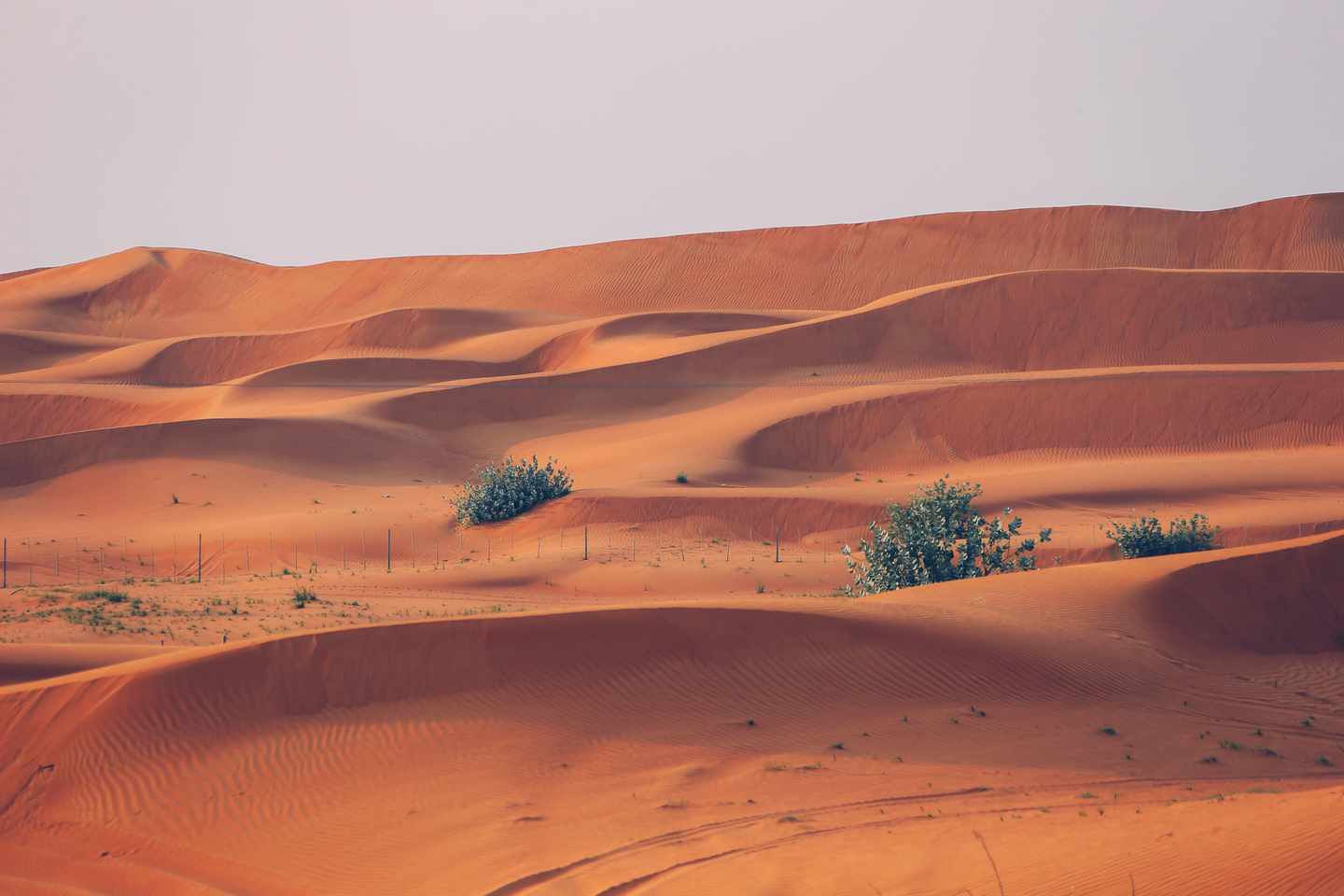 blt260461b493feffae-vae-ras-al-al-khaimah-g-1332351460.jpg RAK