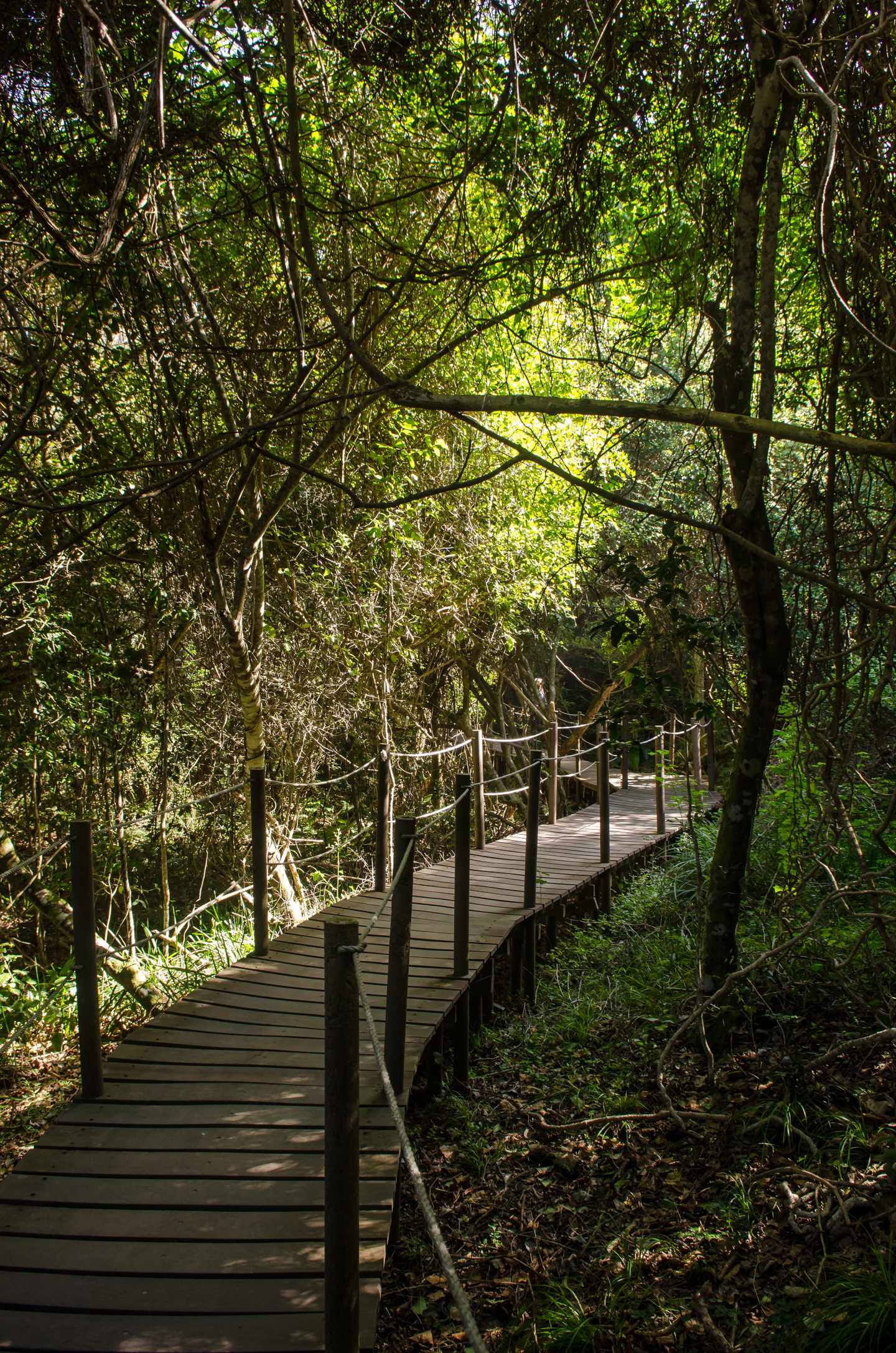 Tsitsikamma Nationalpark: Garden Route