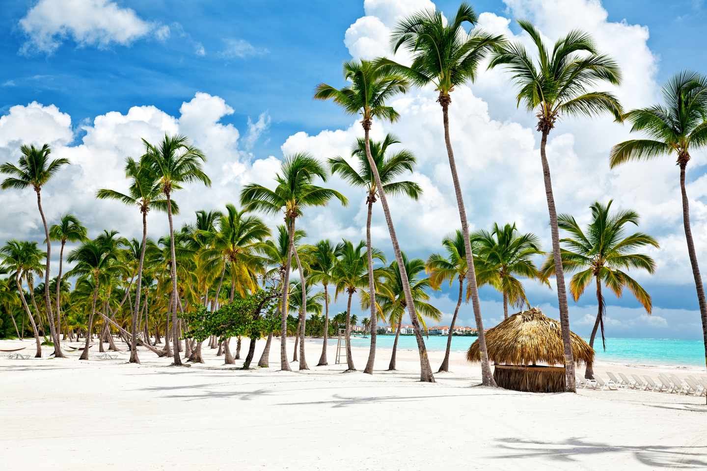 dominikanische-republik-punta-cana-cap-cana-g-155360345.jpg