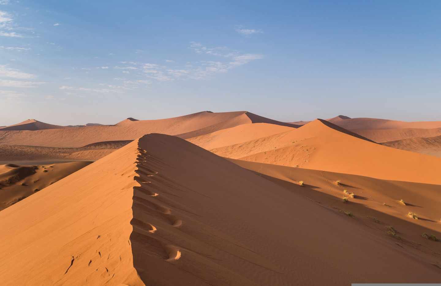 Namibia-Sossusvlei-Wüste-Dertour-g-508703188.jpg