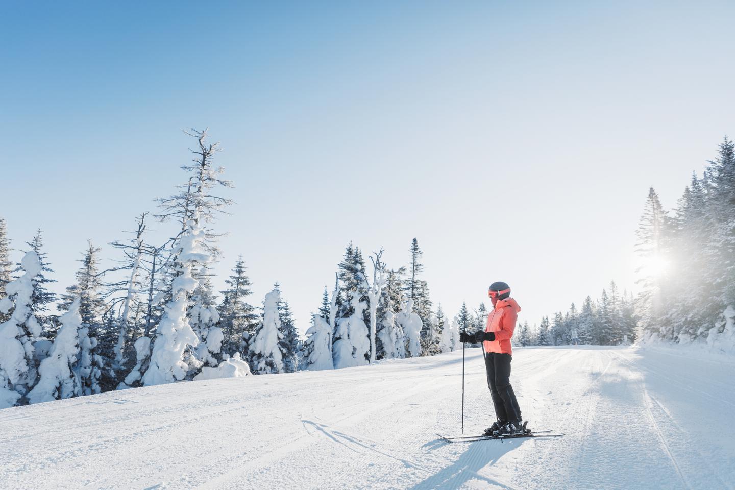 kanada-quebec-mont-tremblant-national-park-skifahrerin-wartet-auf-piste-g-1367206117.jpg