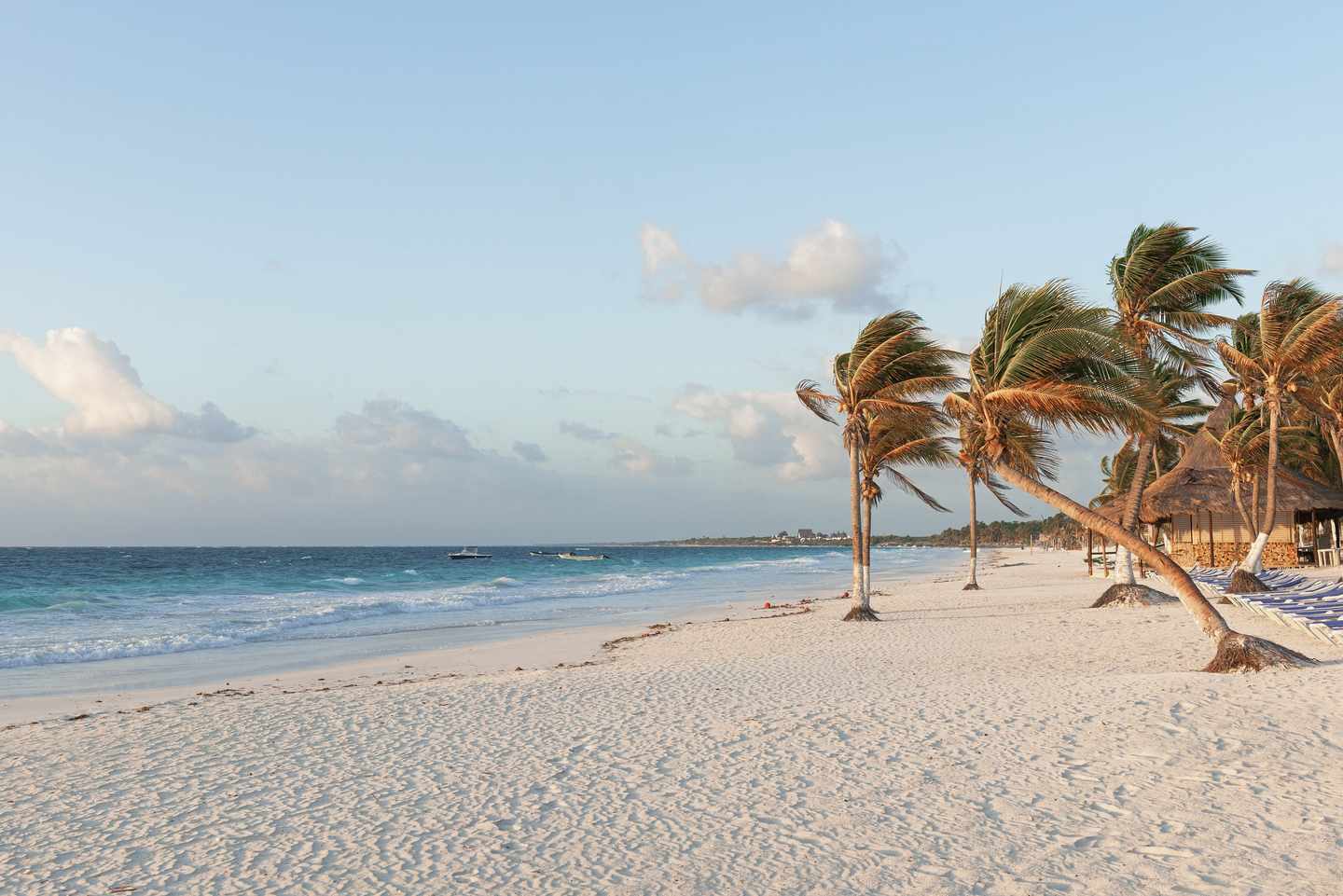 Strand mit Palmen im Yucatan-Urlaub