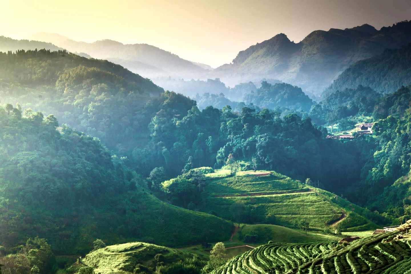 thailand-norden-berge-g-479273012.jpg