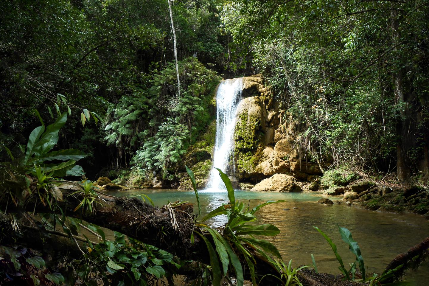 bltacfa8bd0ccbfd7d0-karibik-dominikanische-republik-samana-peninsula-g-451627219.jpg karibik-dominikanische-republik-samana-peninsula-g-451627219.jpg