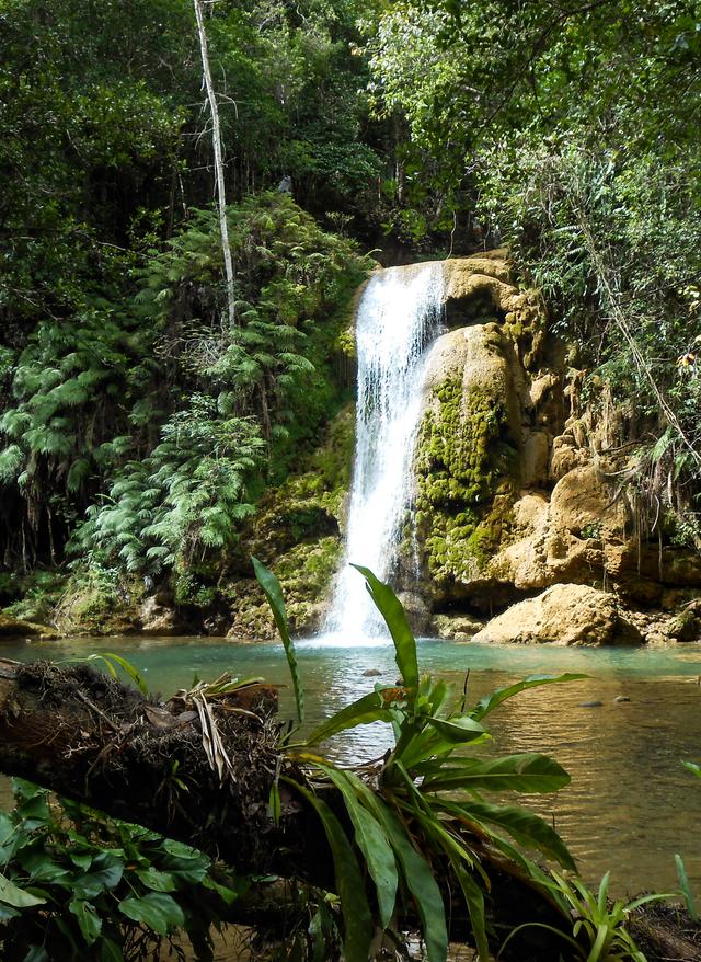 Wasserfälle Dominikanische Republik karibik-dominikanische-republik-samana-peninsula-g-451627219.jpg