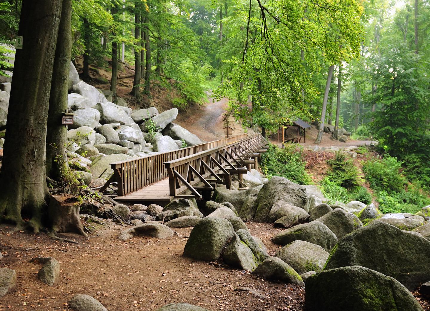 deutschland-hessen-odenwald-holzsteg-felsen-g-1358849235.jpg
