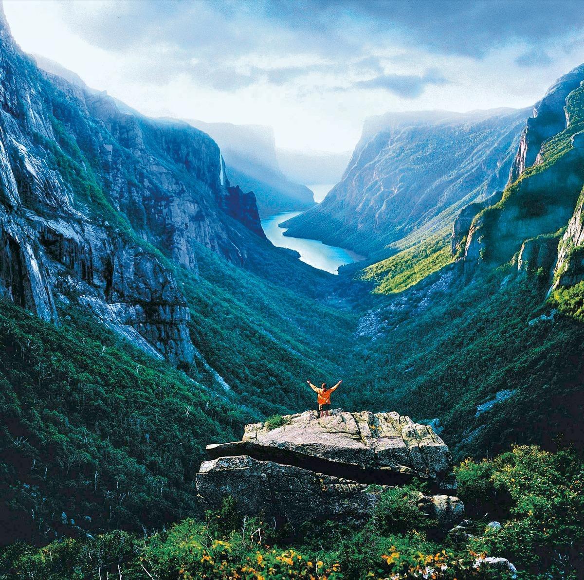 new-foundland-p-MU11273.jpg
