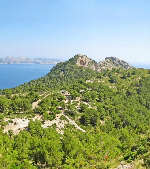 Zu den Angeboten Wanderurlaub Mallorca - Jetzt bei DERTOUR buchen