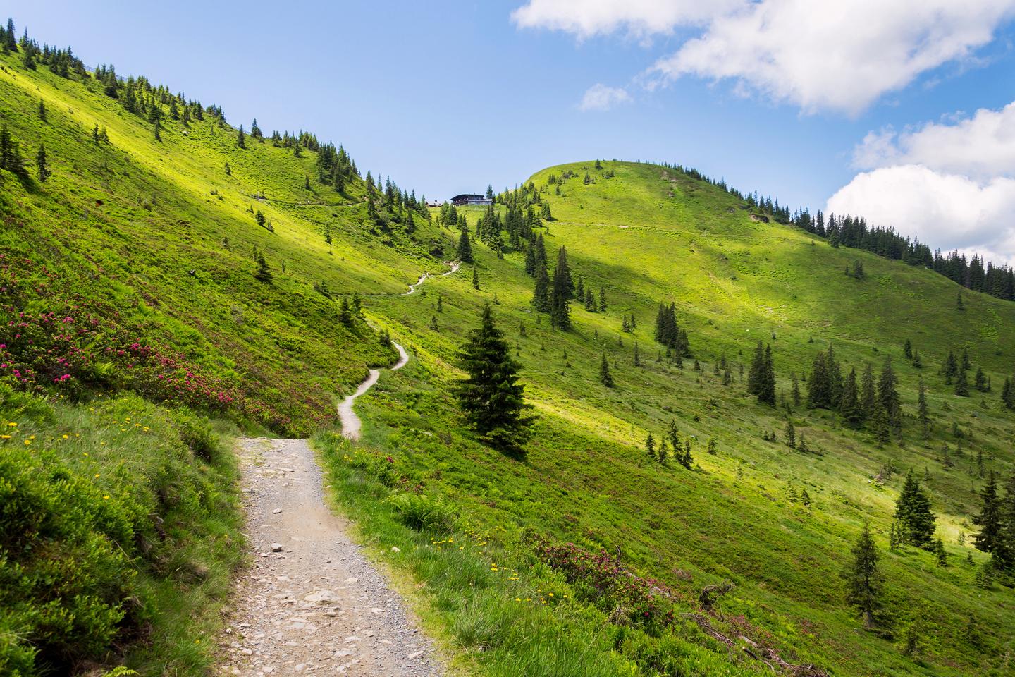 wanderhotel-Salzburger-Land-g-1085398066.jpg