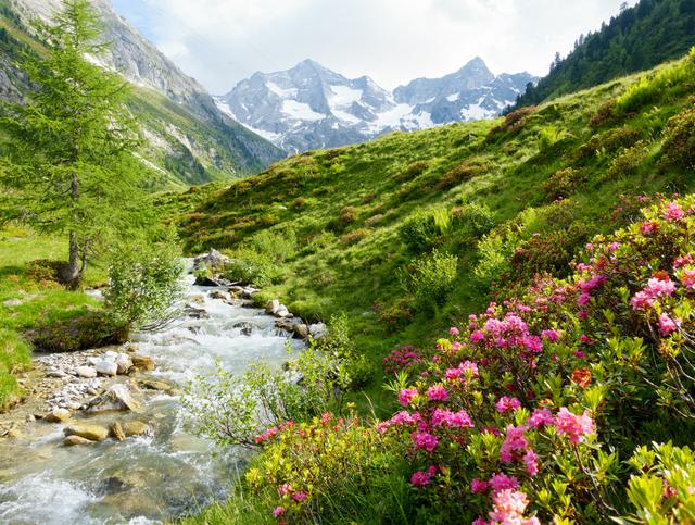 Gebirgsfluss in den Alpen 