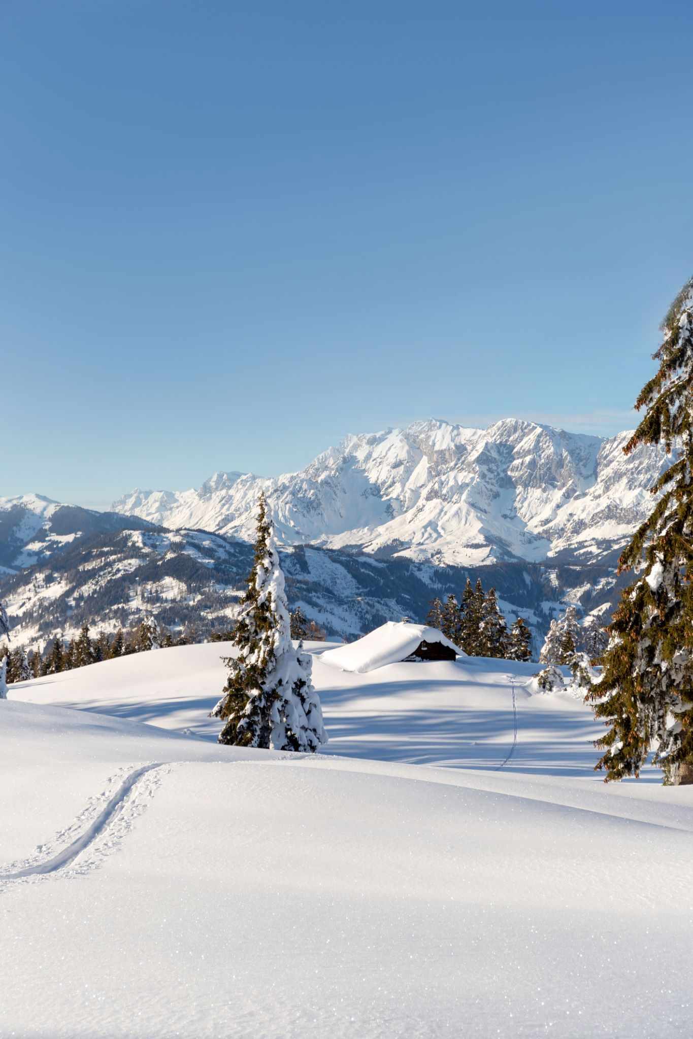 blt860408f107d4b33a-oesterreich-alpen-schneelandschaft-g-1384919878.jpg Langlauf Loipe
