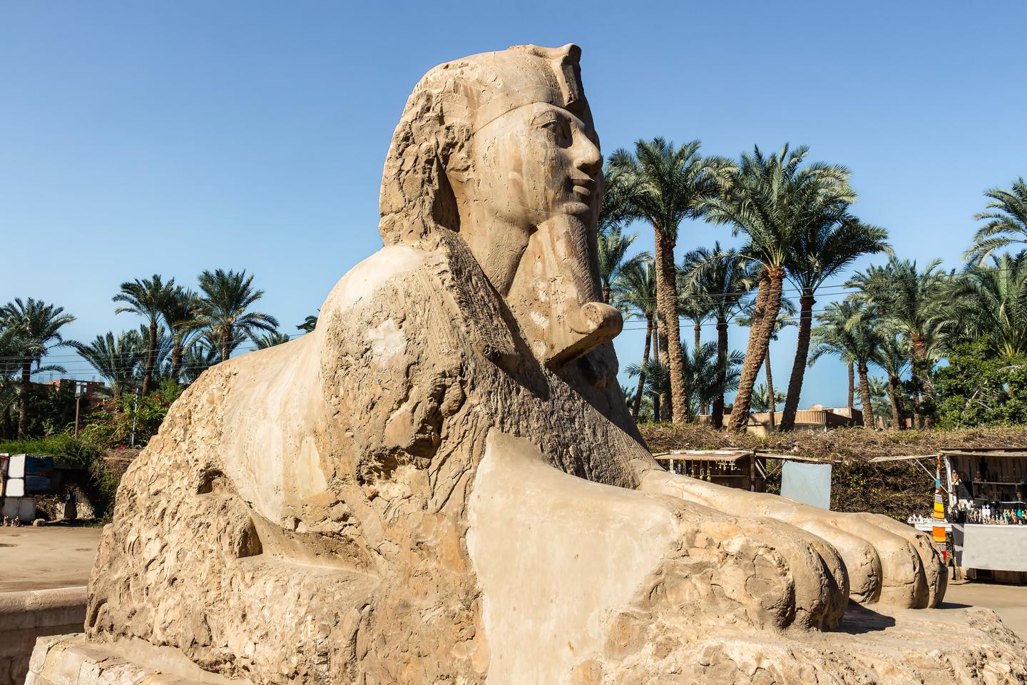 aegypten-kairo-memphis-g-1213153855.jpg