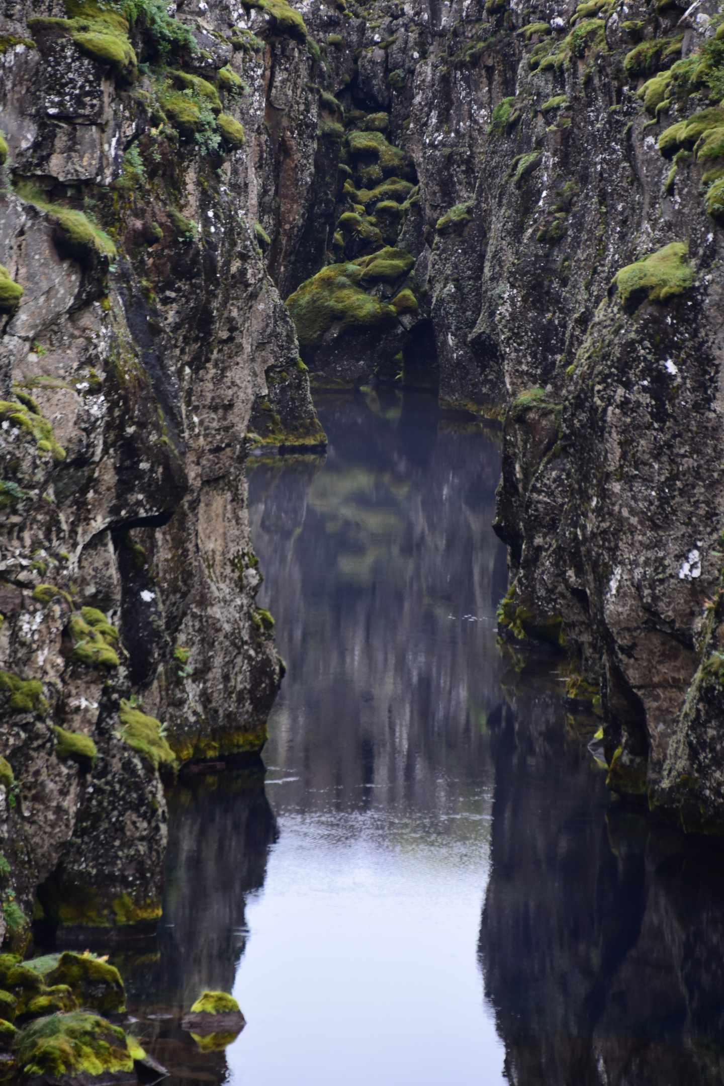 blt7720b9eb518d685a-island-almannagja-schlucht-wasser-i-lena-herrmann.JPG Island Almannagja Schlucht