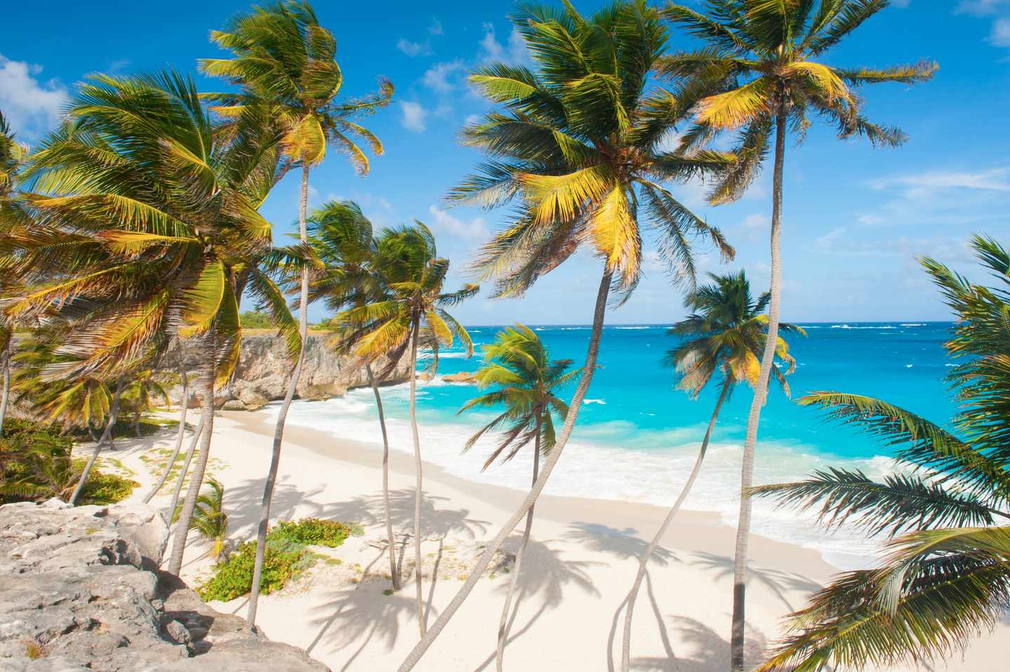 karibik-barbados-bottom-bay-beach-palmen-wind-g-537762079.jpg