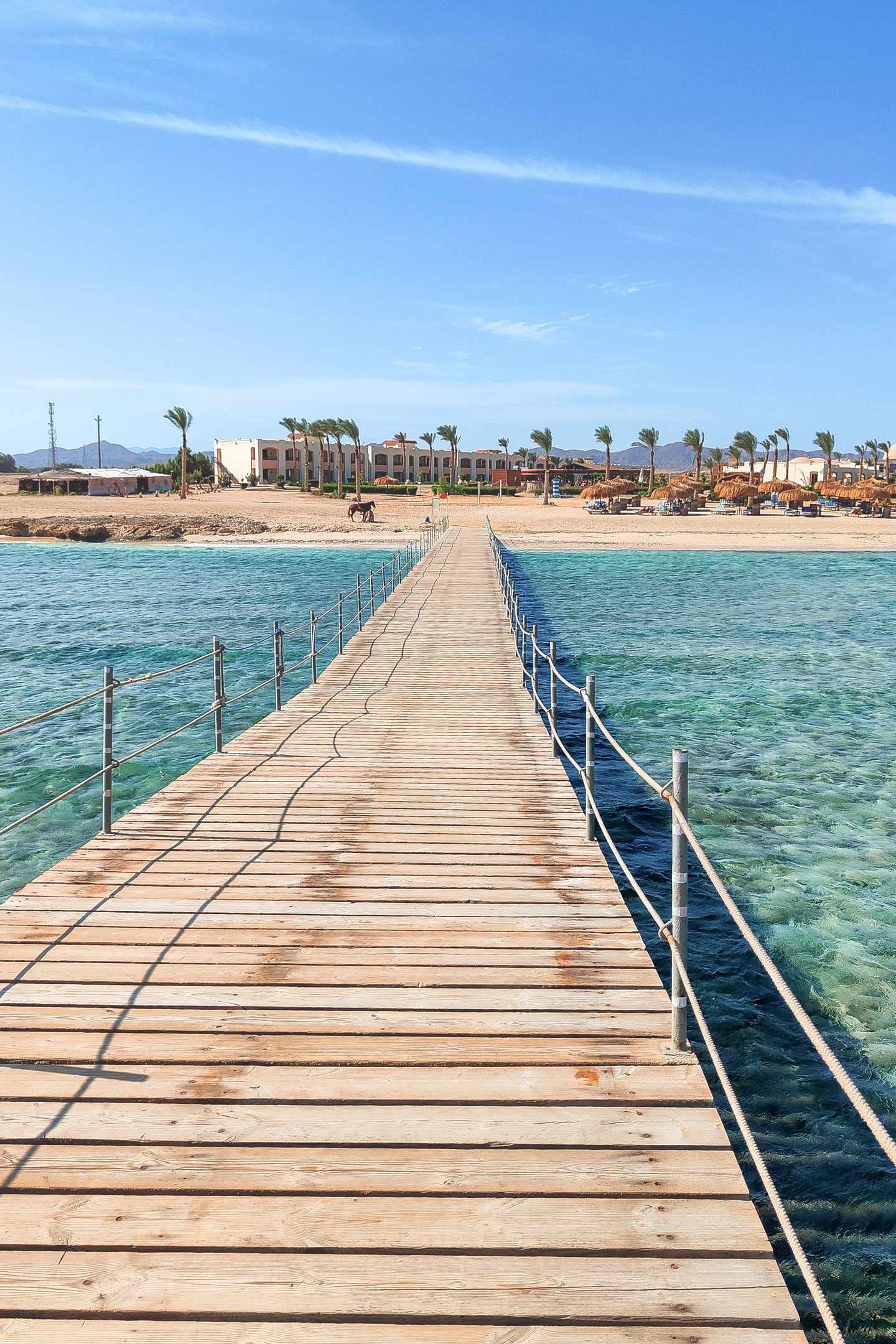 aegypten-marsa-alam-holzsteg-strand-g-2258242846.jpg Holzsteg auf dem roten Meer führt zum Sandstrand in Marsa Alam, Ägypten.