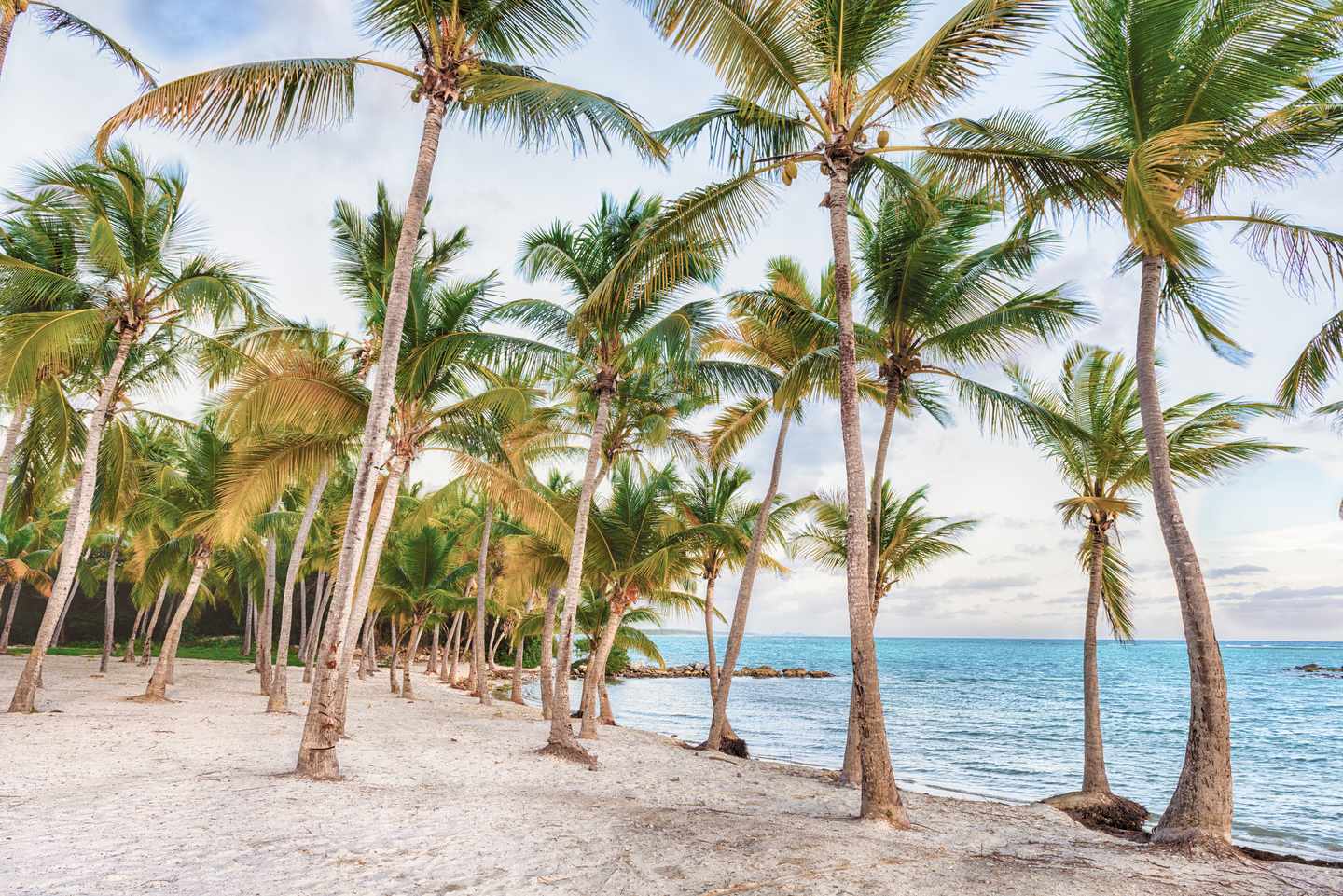 blt444c4f348a658fda-guadeloupe-anse-saint-francois-champagne-beach-g-1177226155.jpg Anse Saint Francois Champagne Beach auf Guadeloupe