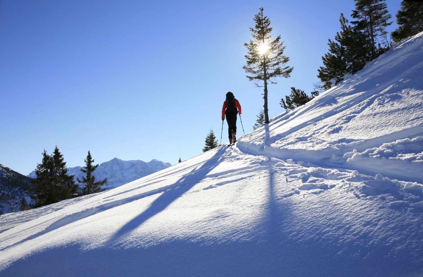 bayern-allgaeu-langlauf-winter-g-904899648.jpg