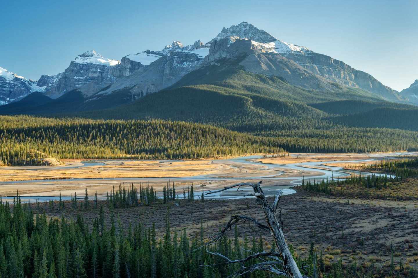 kanada-saskatchewan-icefield-parkway-g-1008495320.jpg