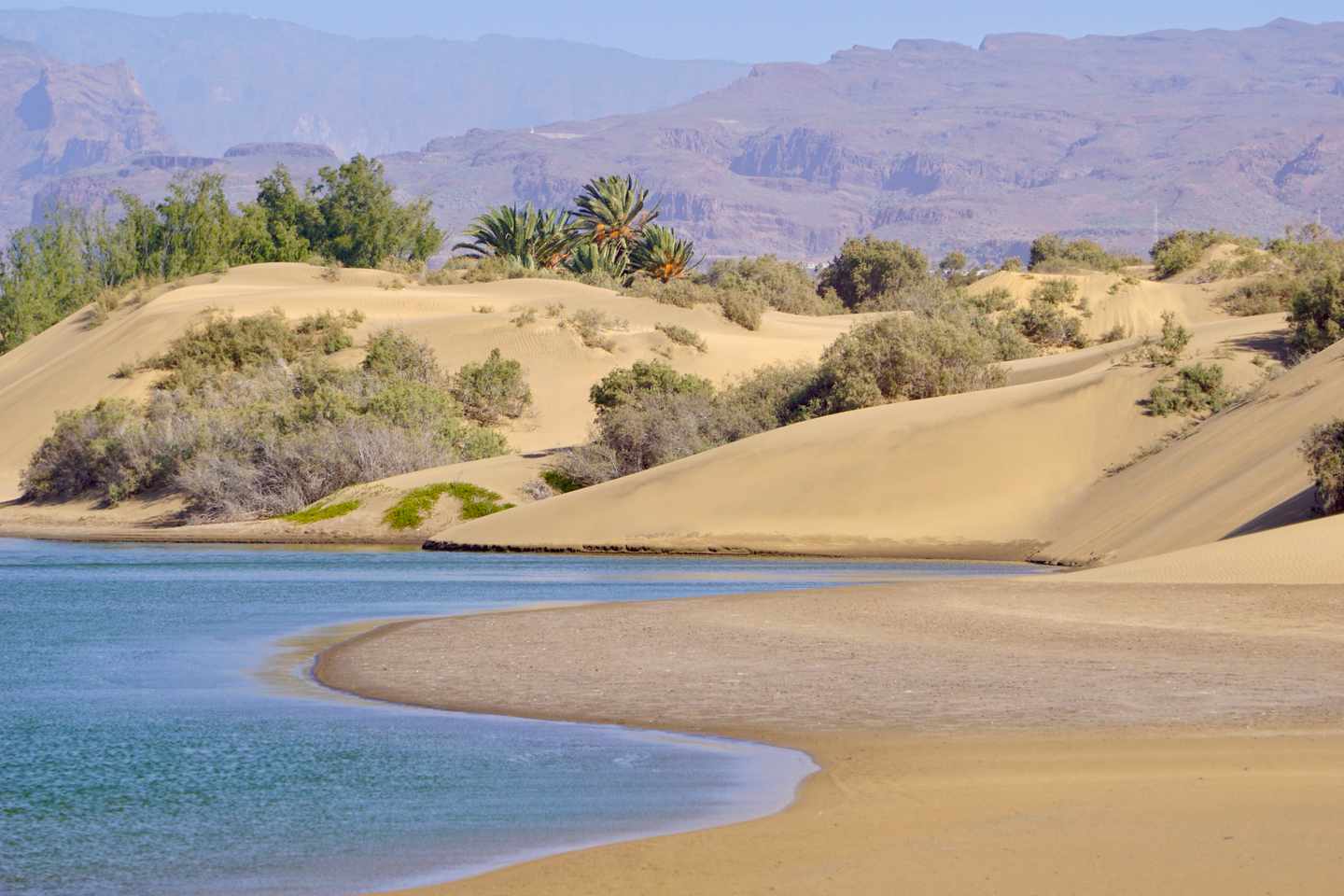 spanien-gran-canaria-las-palmas-dunes-de-maspalomas-g-1892951606_b.jpg